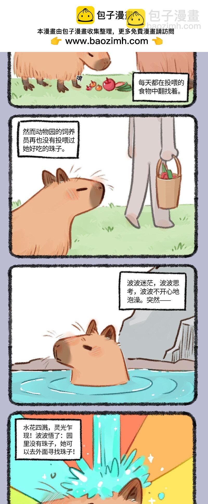 861 波波的旅途1