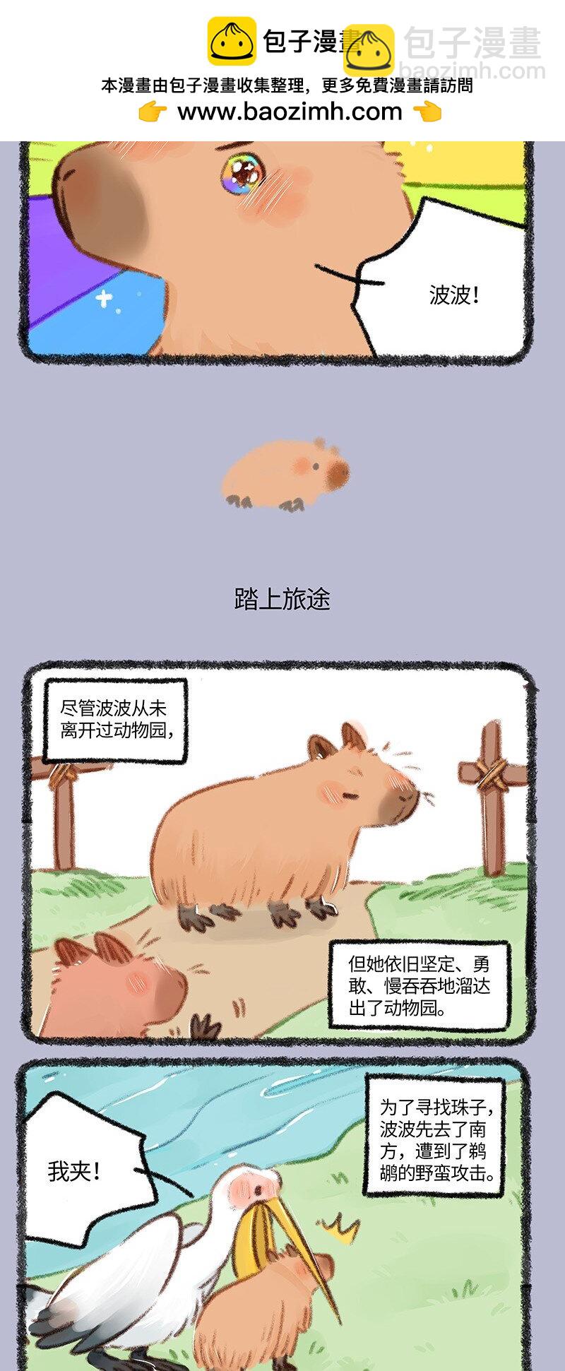 861 波波的旅途2