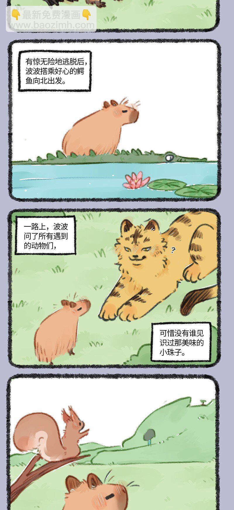 861 波波的旅途3