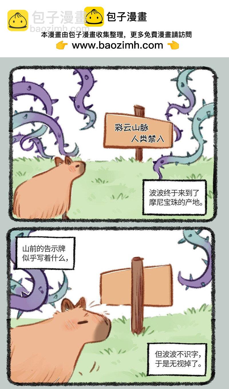 862 淡定波波不怕困难1