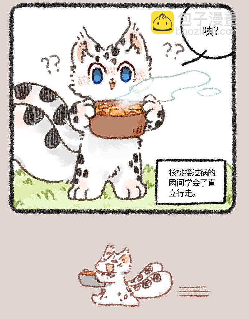 865 核桃的使命6