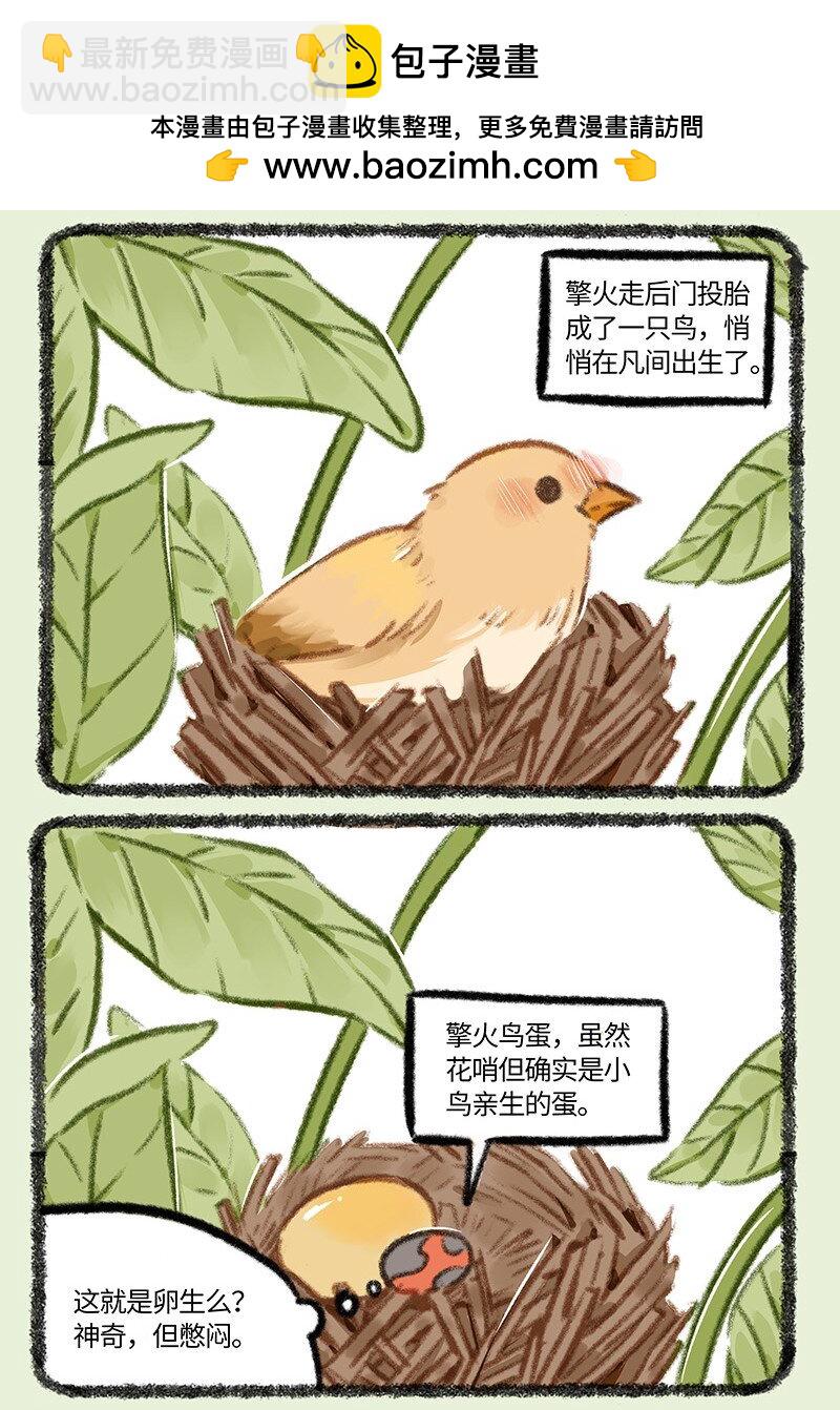 876 物竞天择1