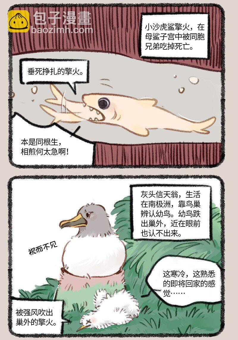 877 投胎之旅5