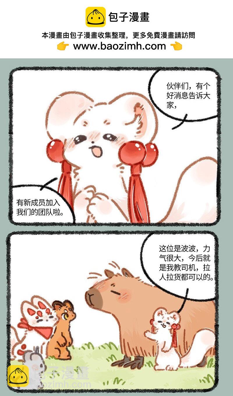 878 团队新伙伴1