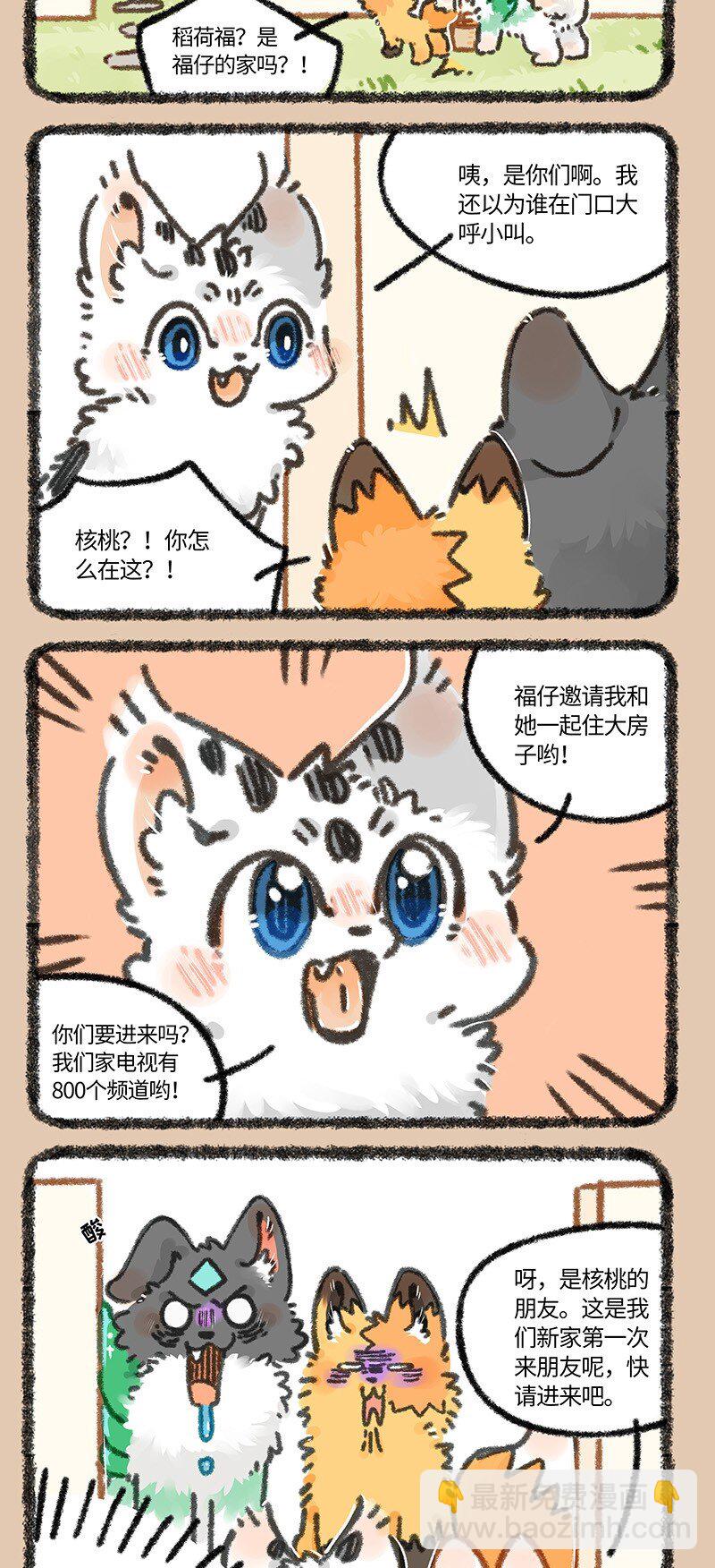 879 福仔的新家3