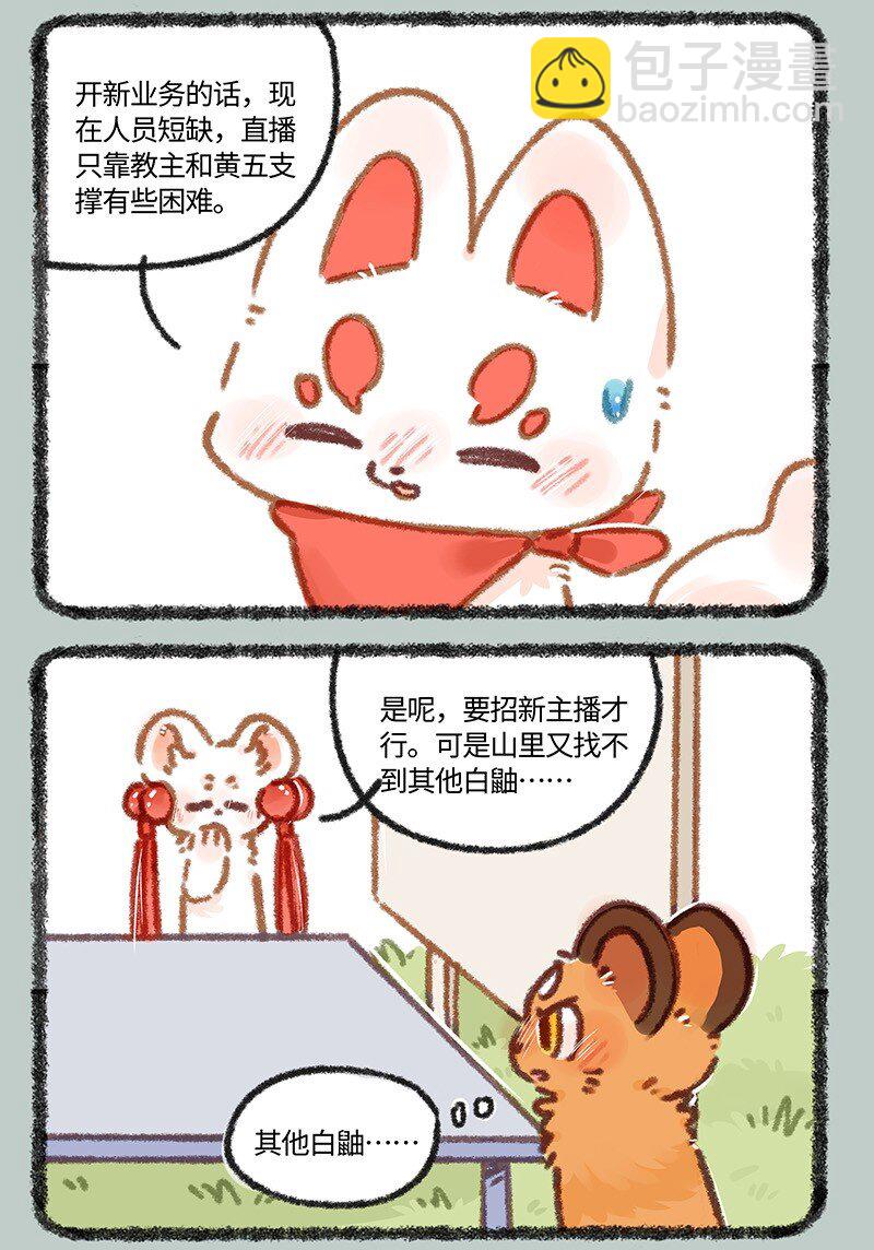 881 吐宝集团新主播2