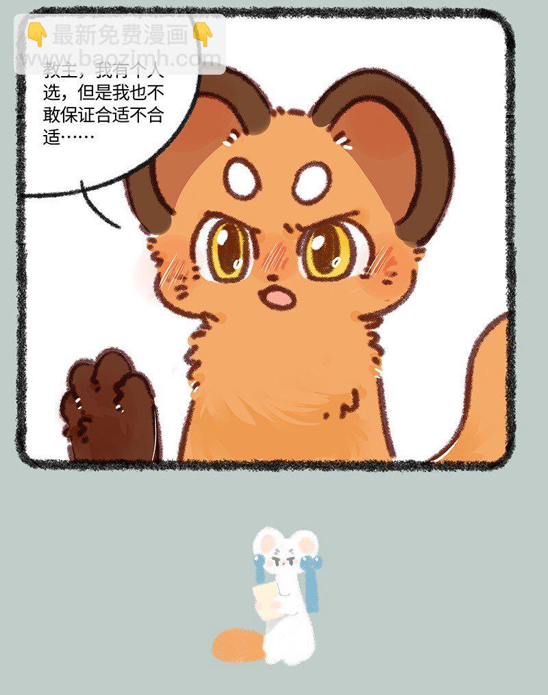 881 吐宝集团新主播3