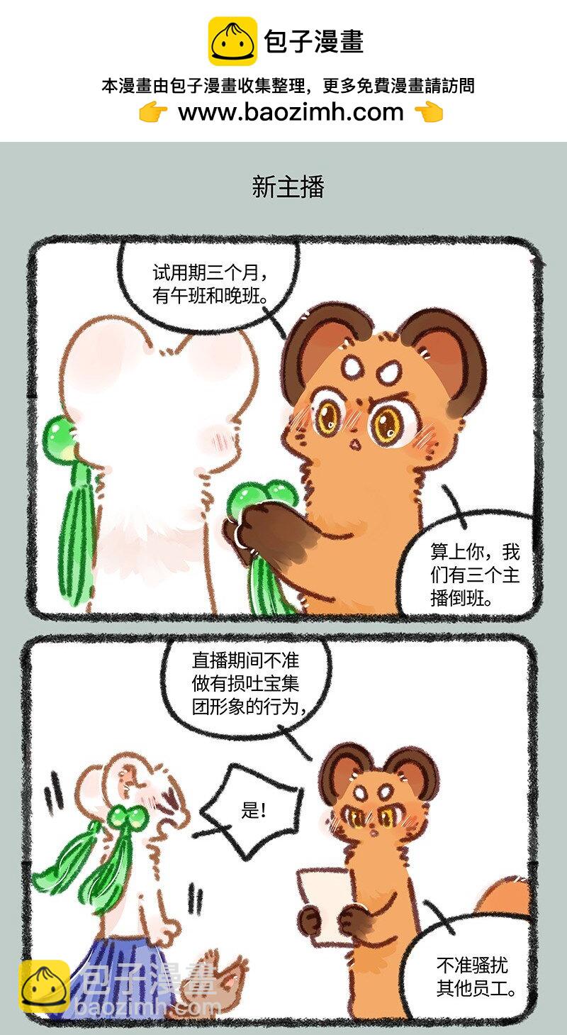881 吐宝集团新主播4