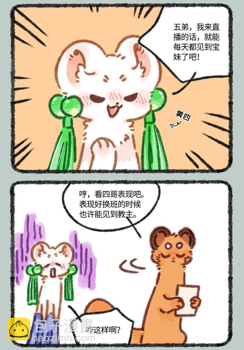 881 吐宝集团新主播5