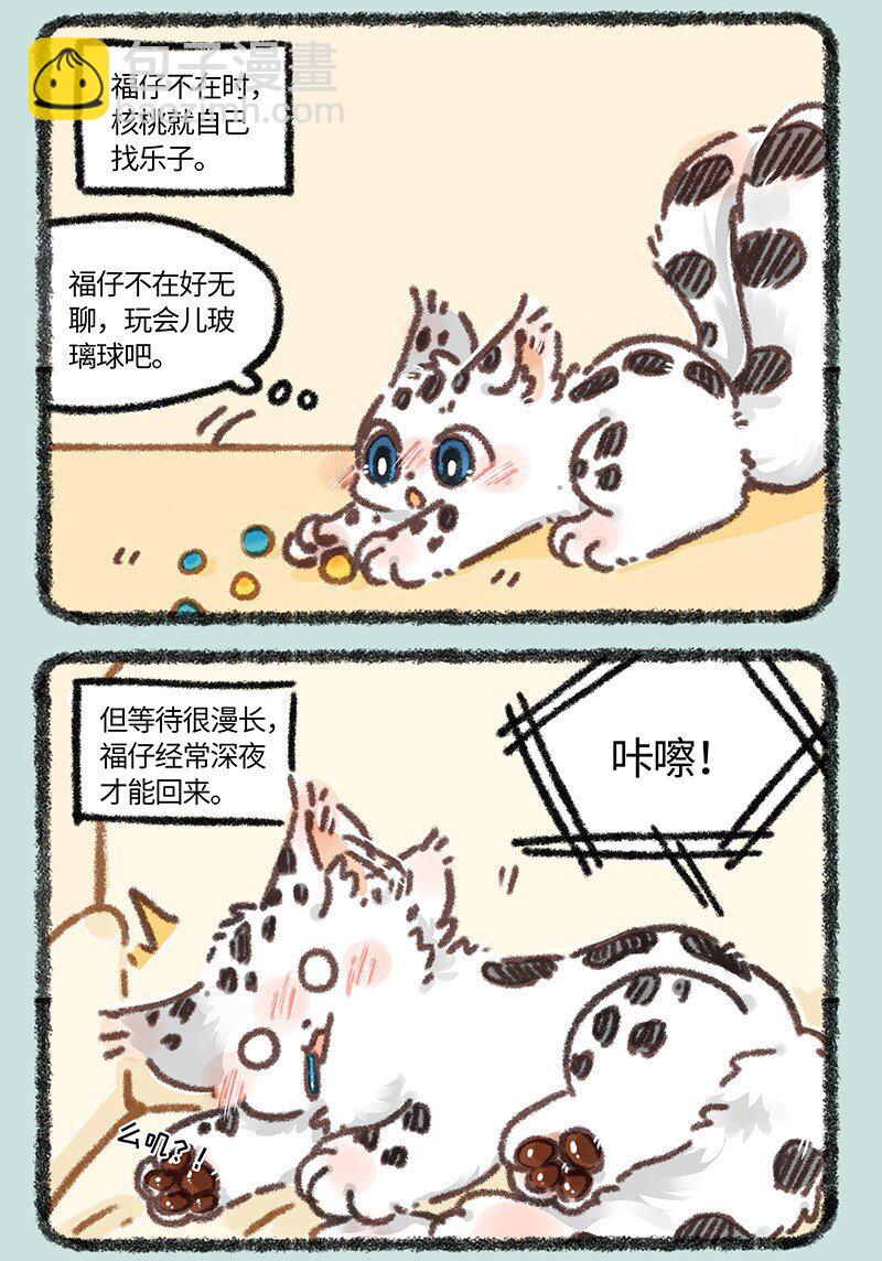 882 核桃学艺2