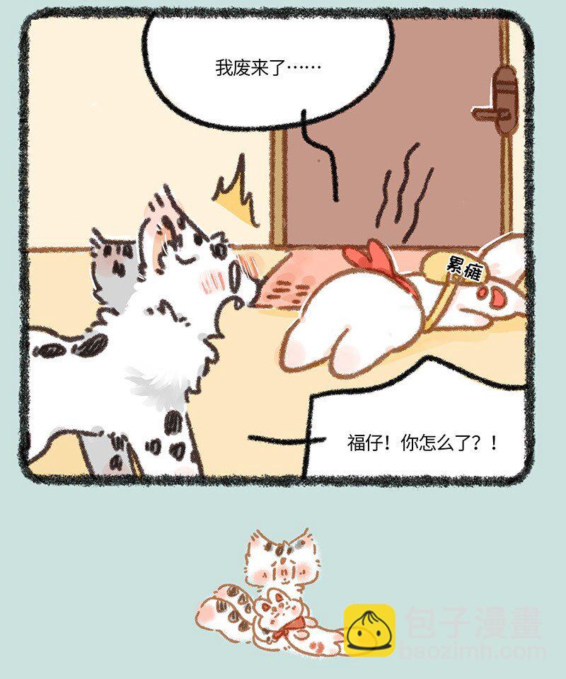 882 核桃学艺3
