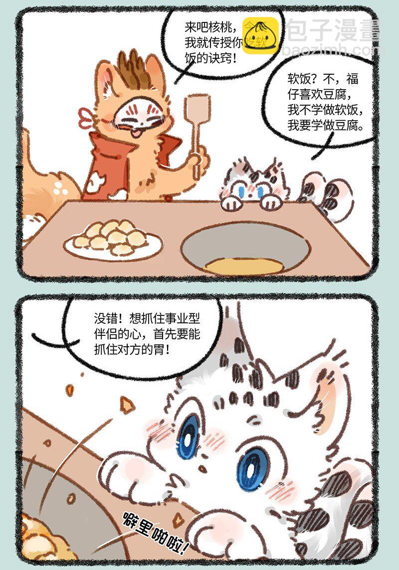 882 核桃学艺5