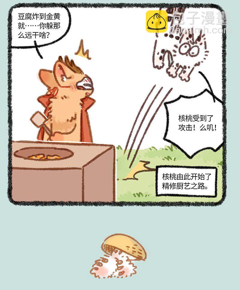 882 核桃学艺6