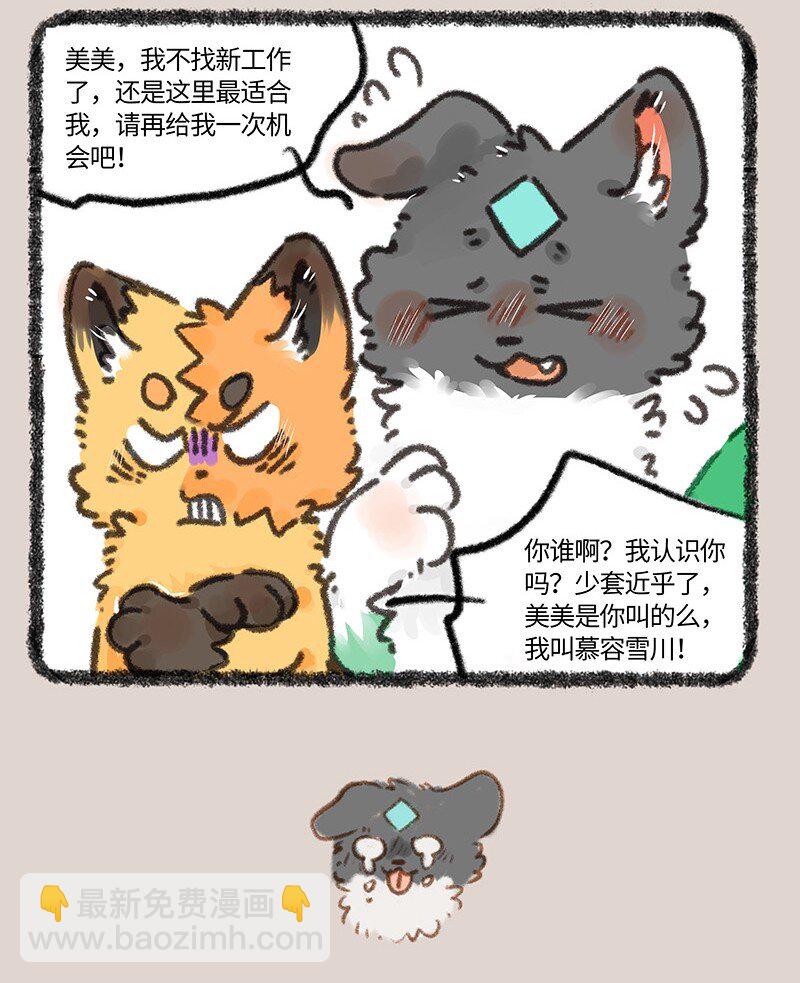 884 壮壮要跳槽6