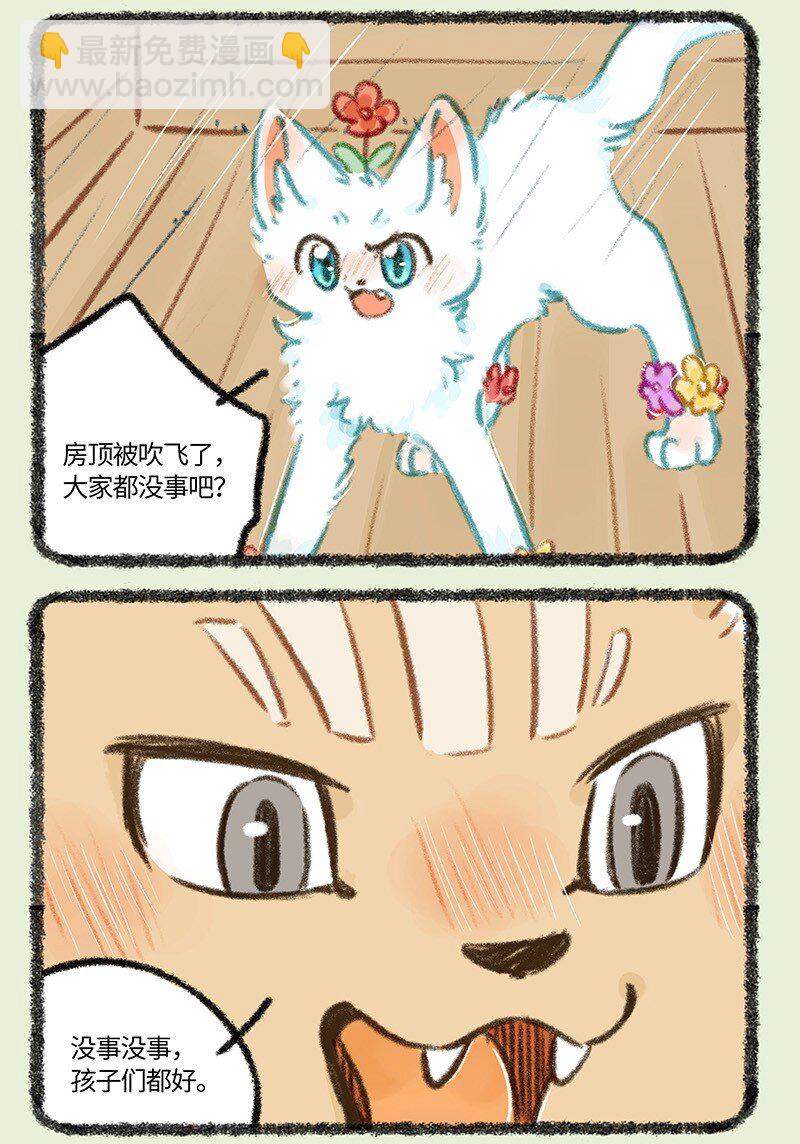 893 自然之力2