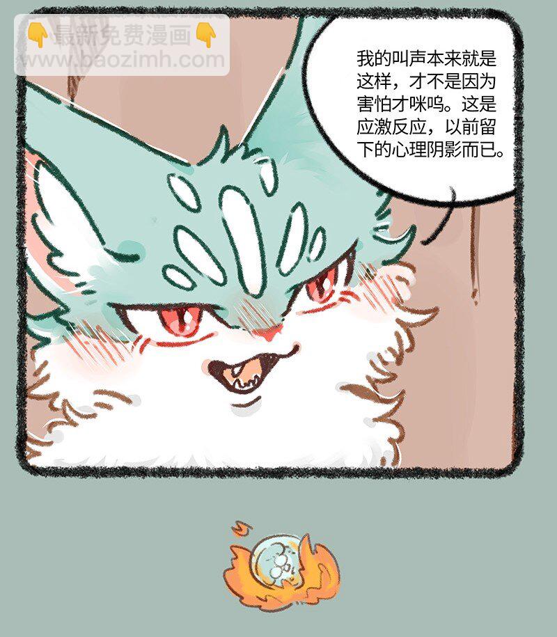 895 猫猫泪的童年阴影3