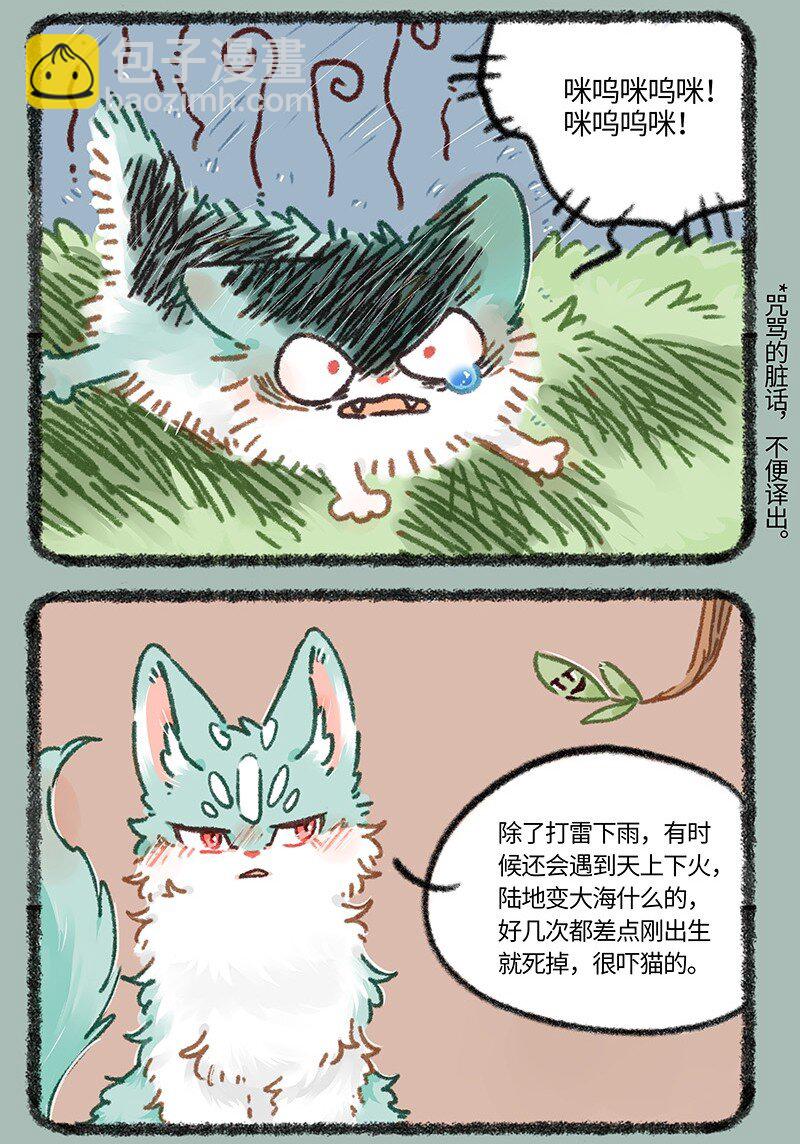 895 猫猫泪的童年阴影5