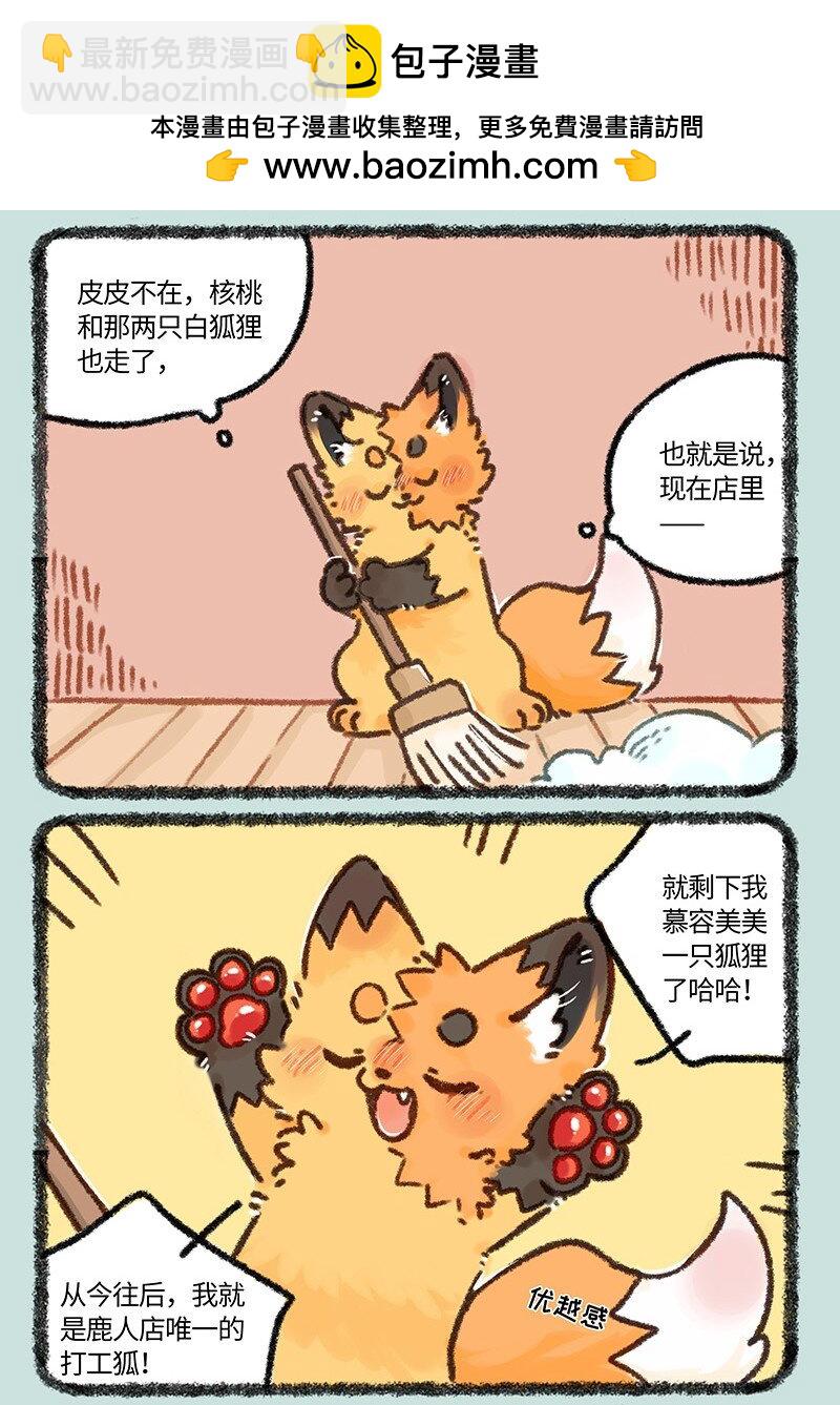 907 紫狐来了1