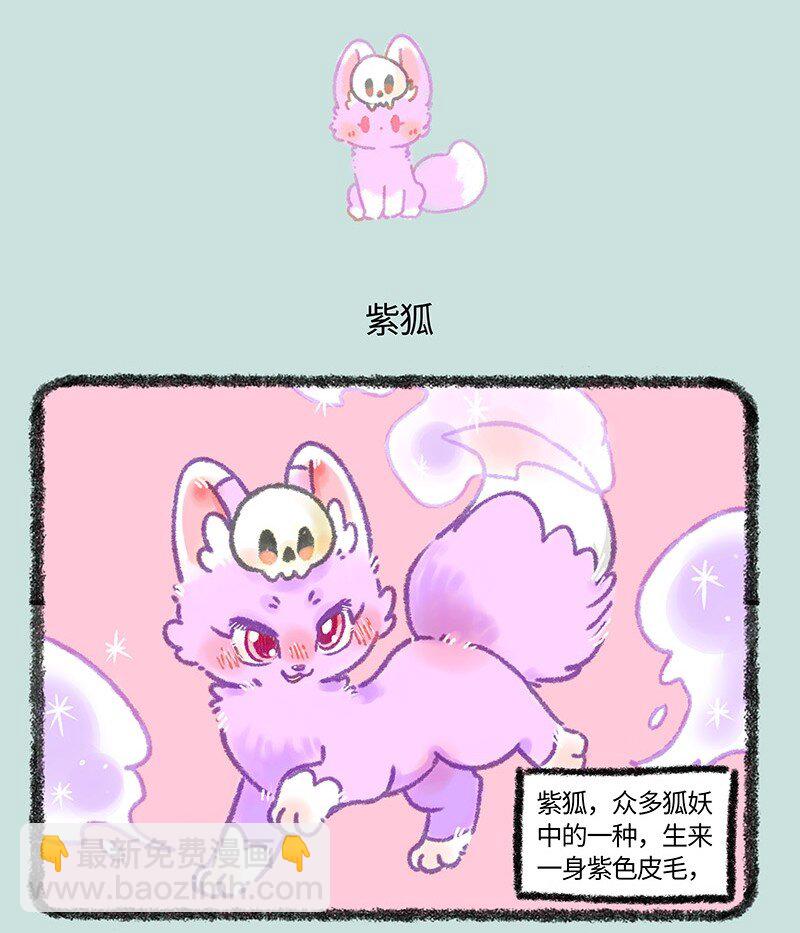 907 紫狐来了3