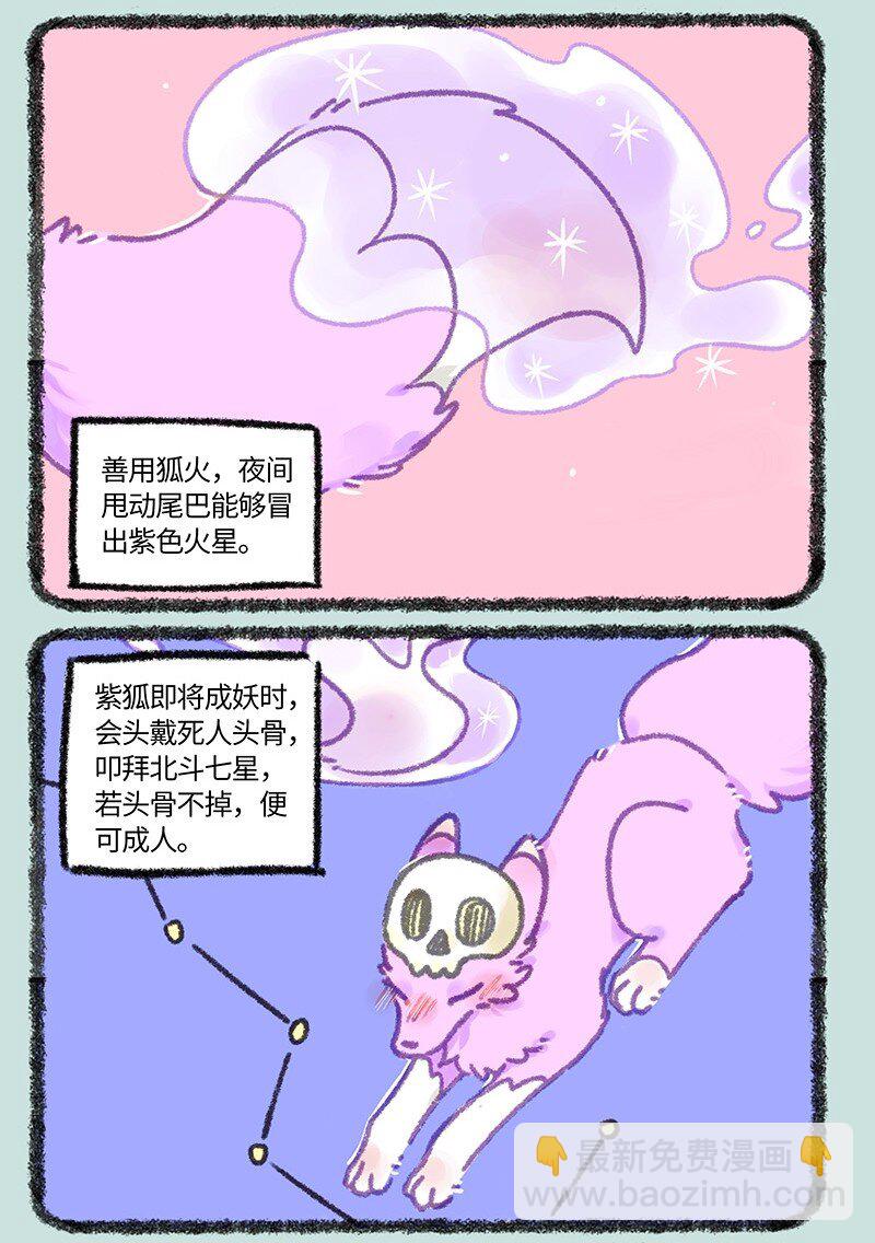 907 紫狐来了4