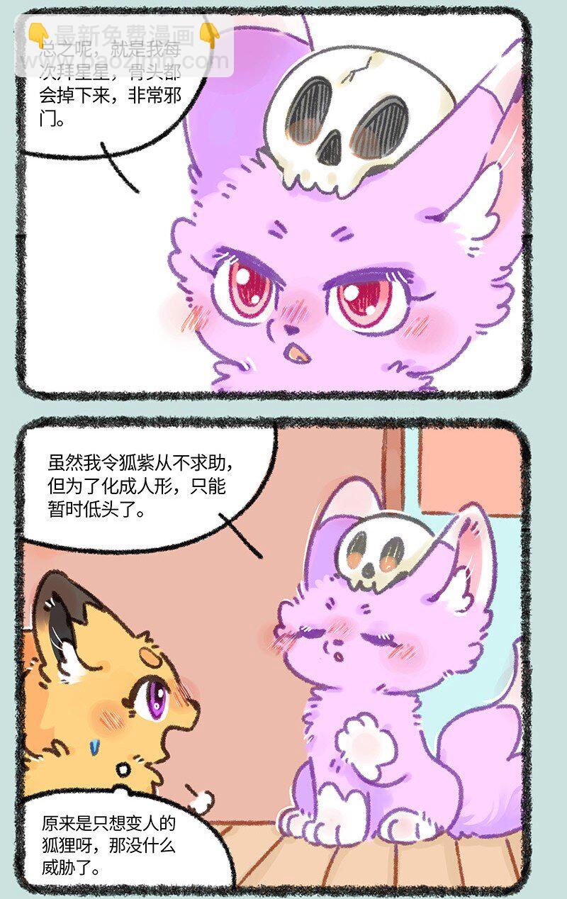 907 紫狐来了5