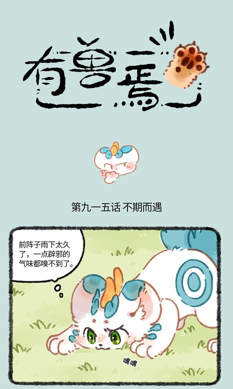 915 红貔貅0