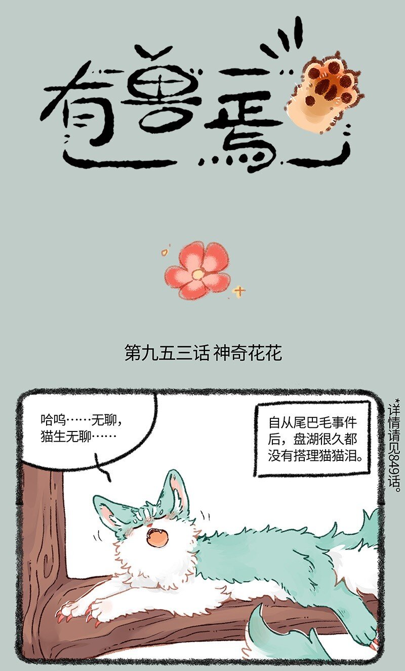 953 神奇的花花0