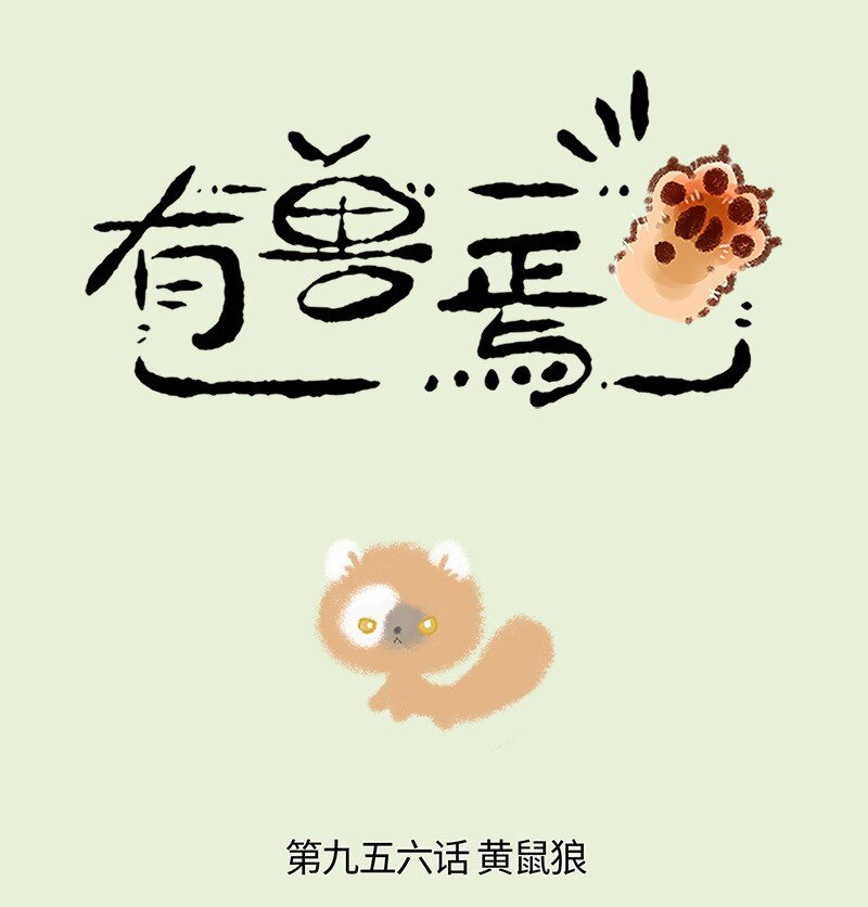 956 五弟，生日快乐0
