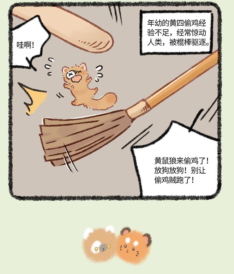 956 五弟，生日快乐3