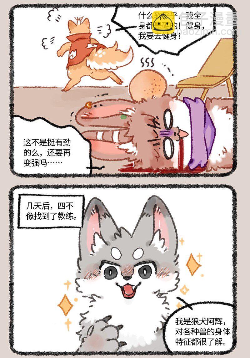 957 长秋膘5