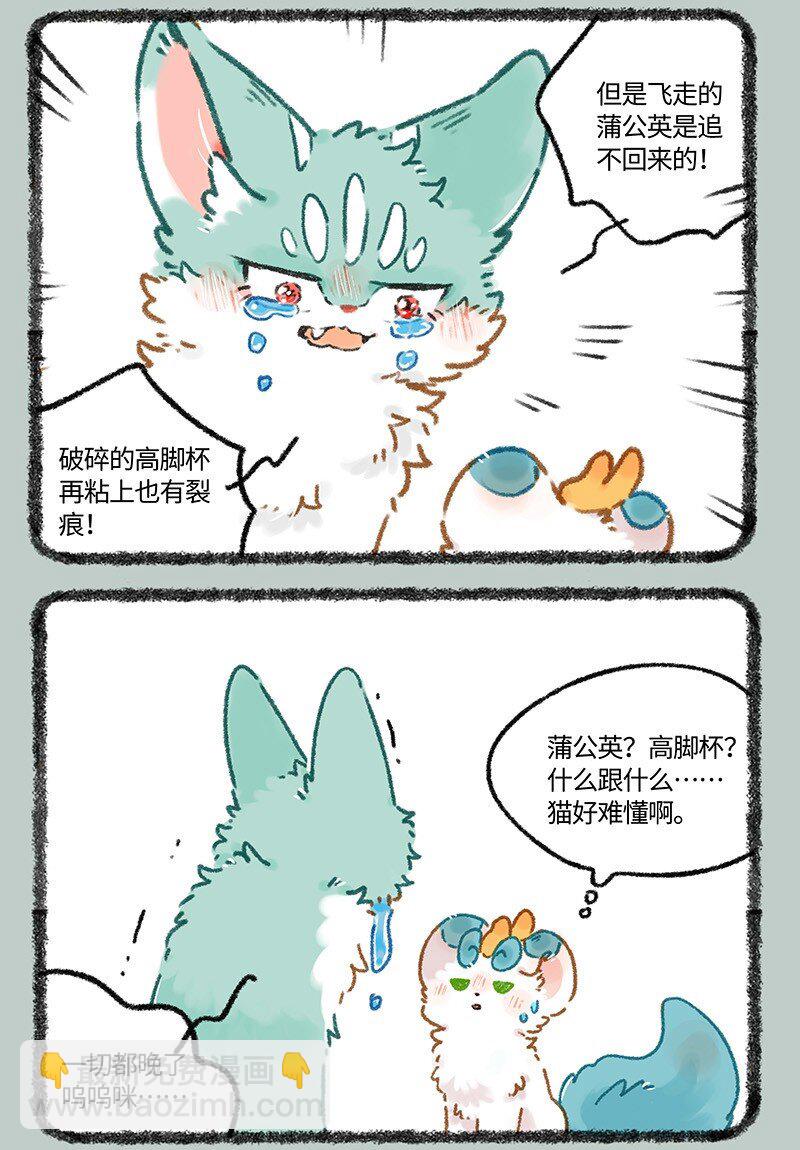 961 悲伤猫猫5