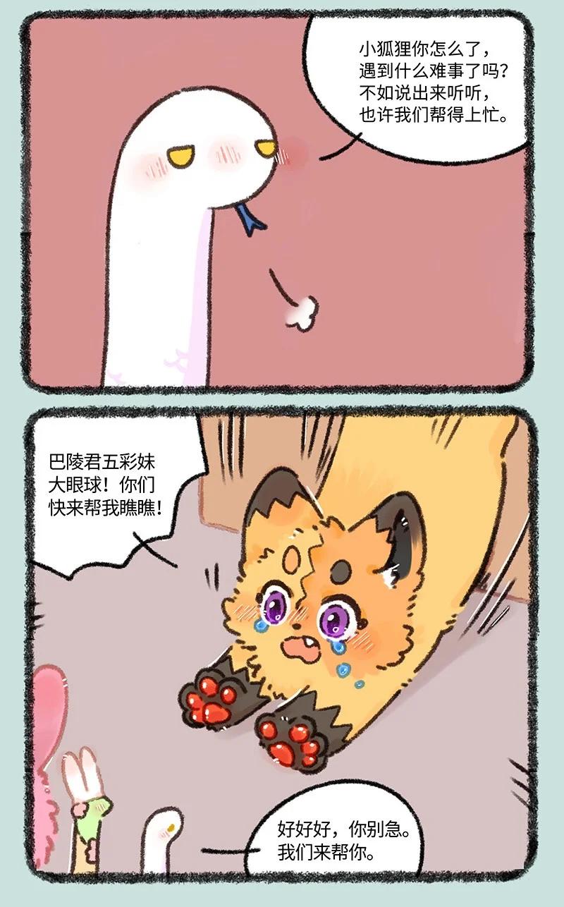 968 美美皮登场2