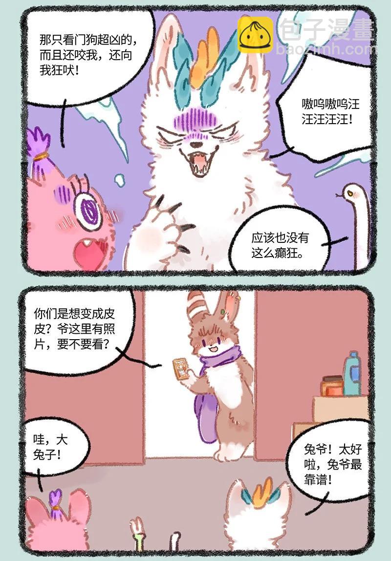 968 美美皮登场4