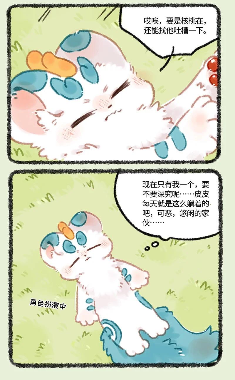 969 美美皮的任务2