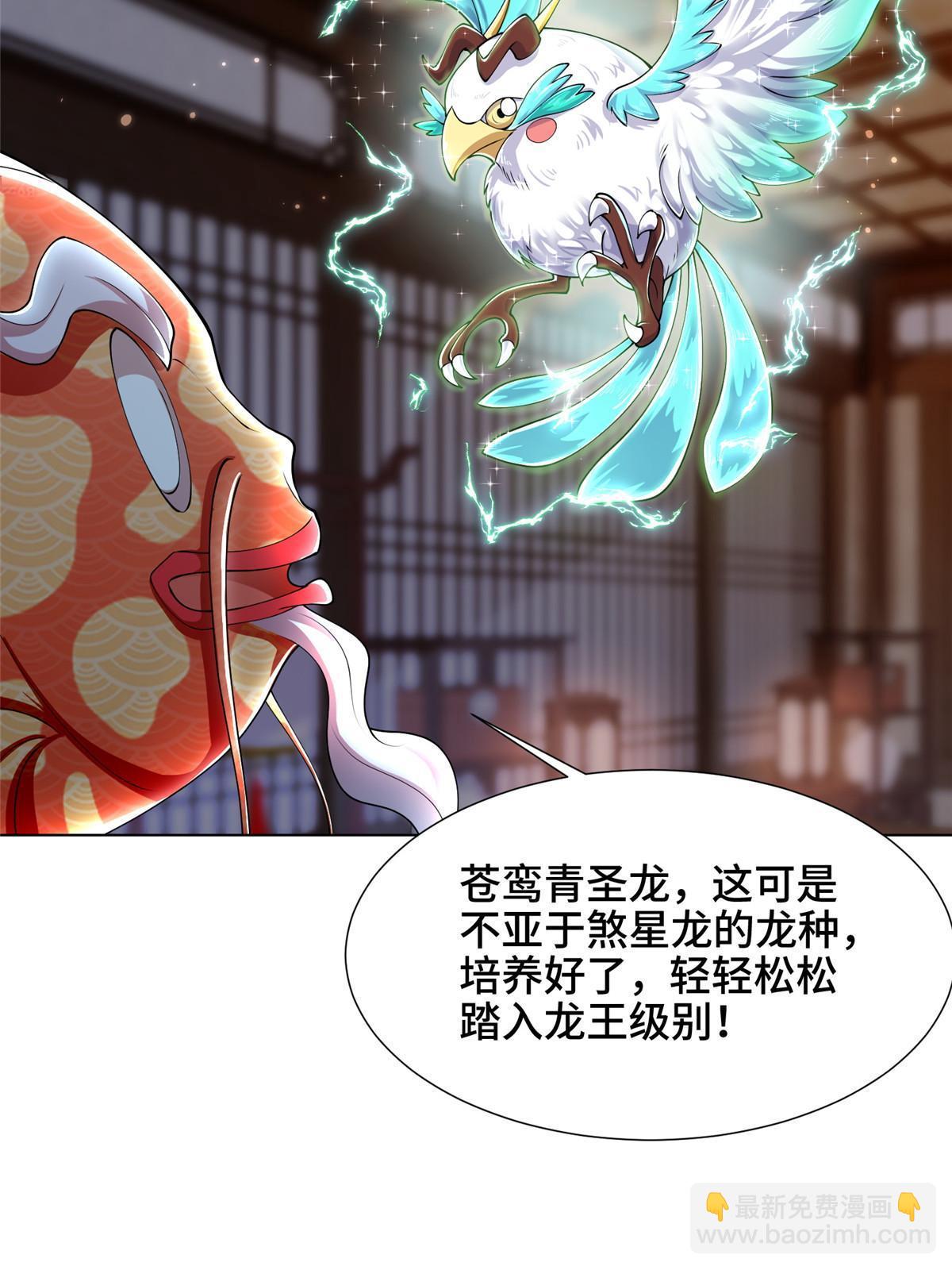 192 苍鸾青圣龙7