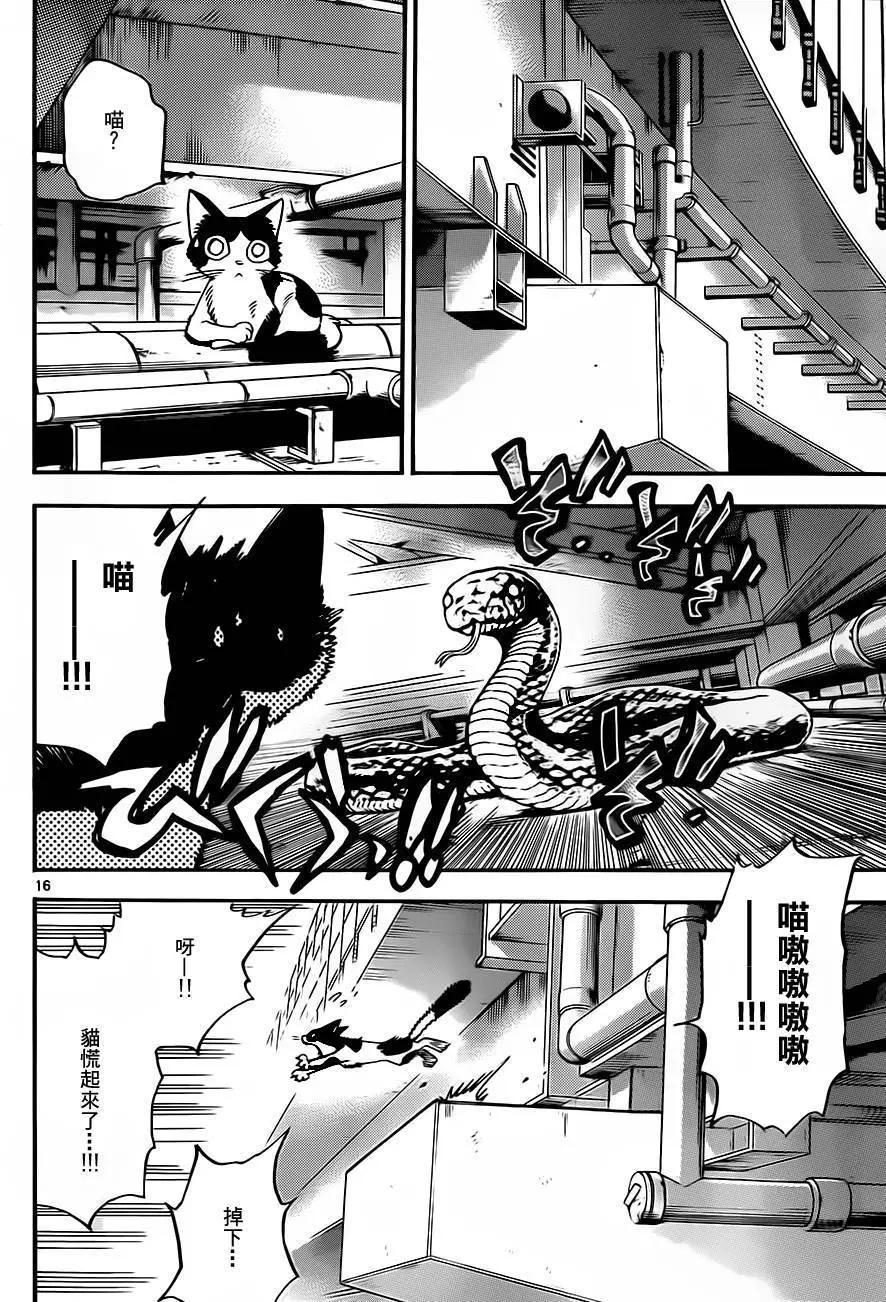 第416回15