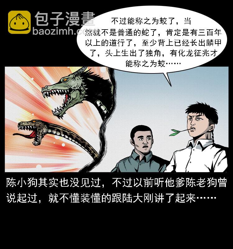 020 陈小狗捉鬼（下）61