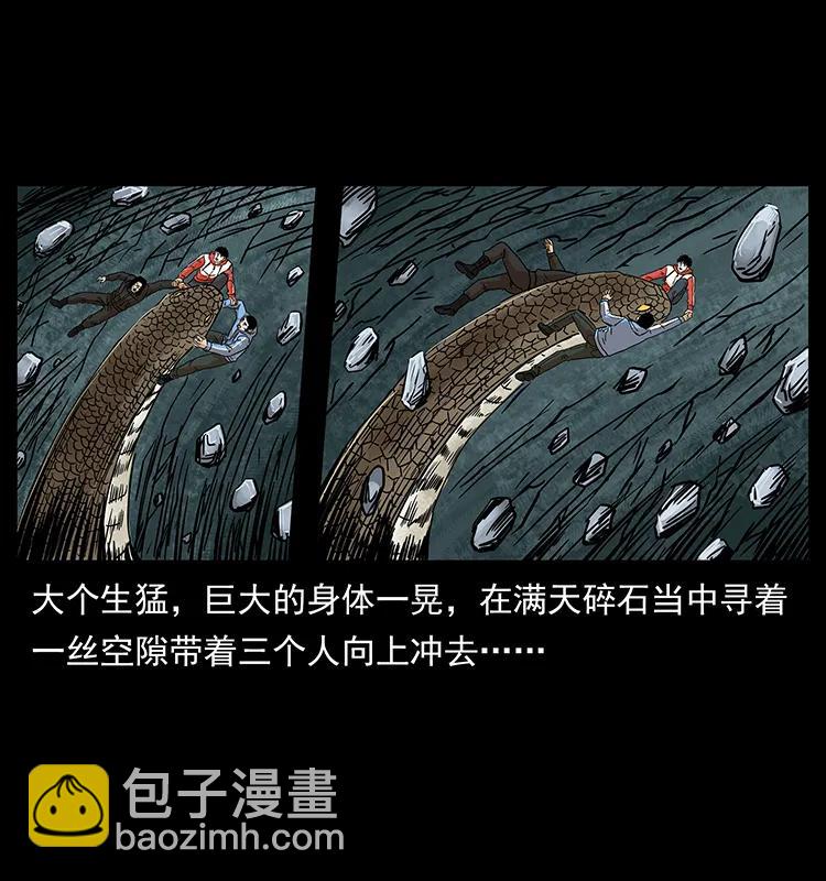 220 漠北白狼王33