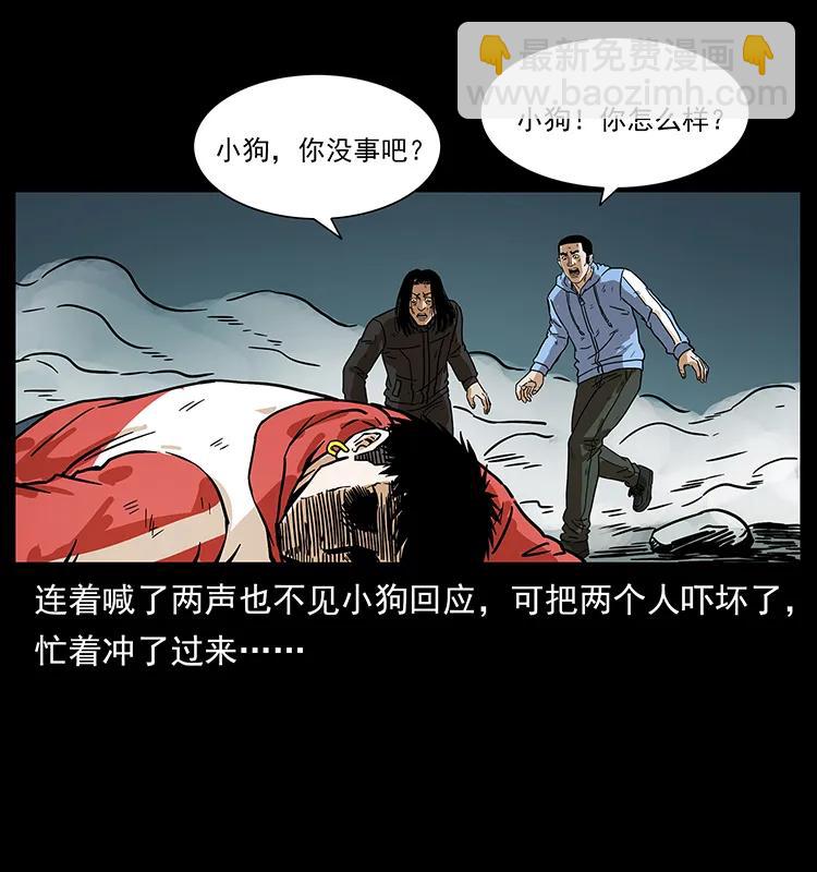220 漠北白狼王66