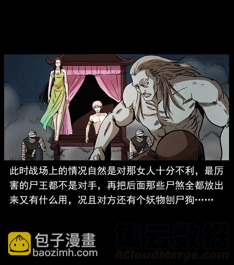 331 樊家尸王经32