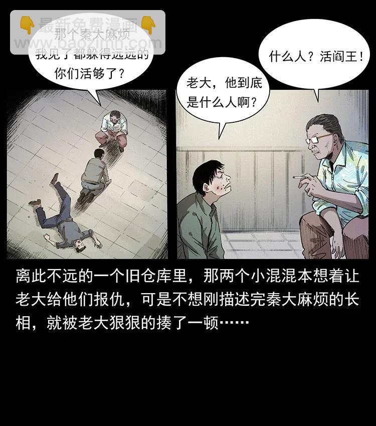 343 秦大麻烦的往事22