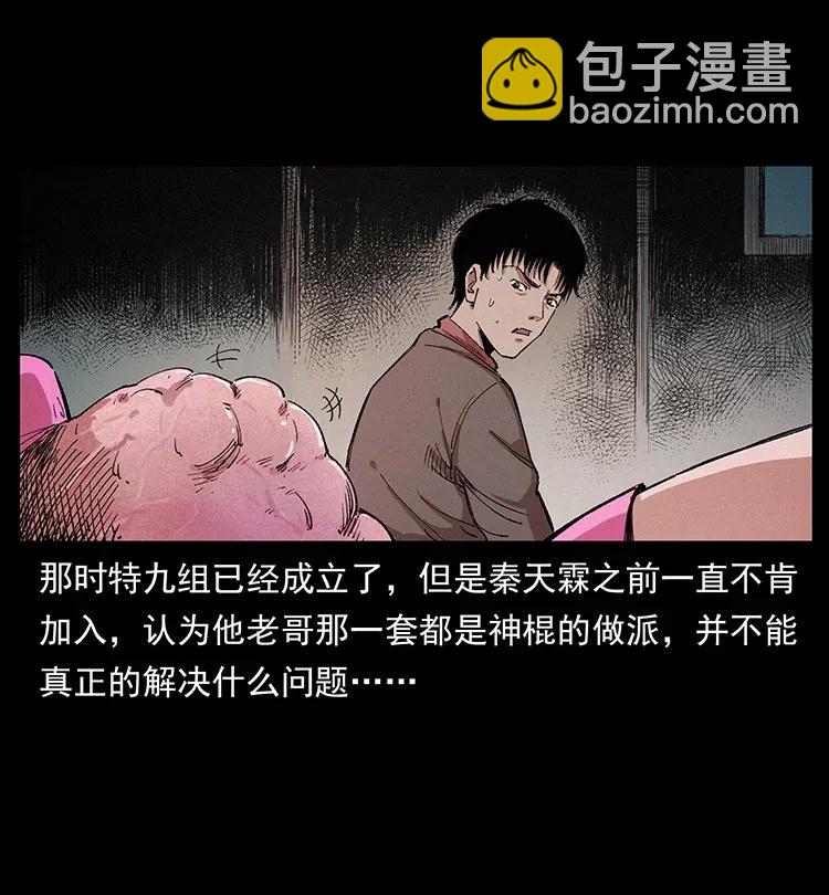 343 秦大麻烦的往事36