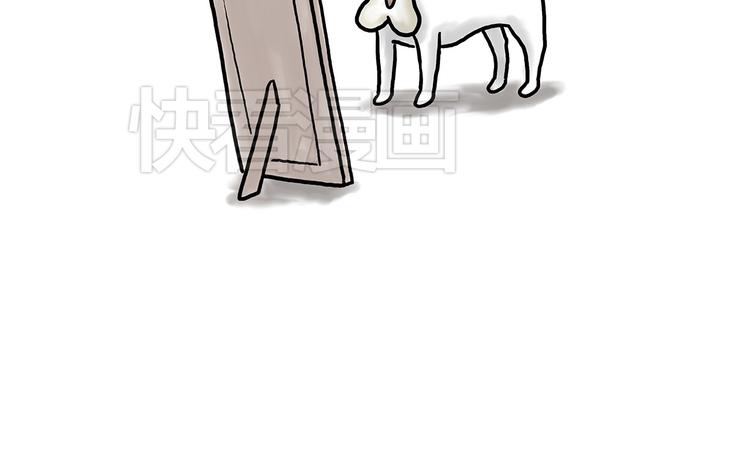 你看懂了吗？17