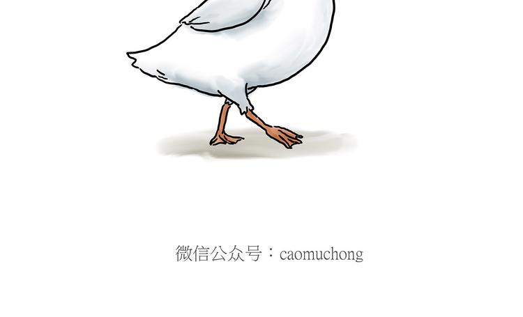 你看懂了吗？37