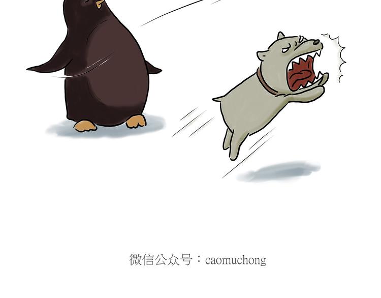 贪吃的蝙蝠27