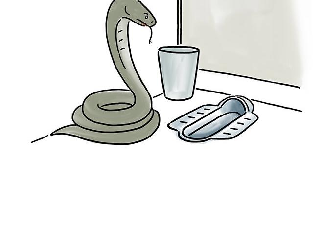 贪吃的蝙蝠8