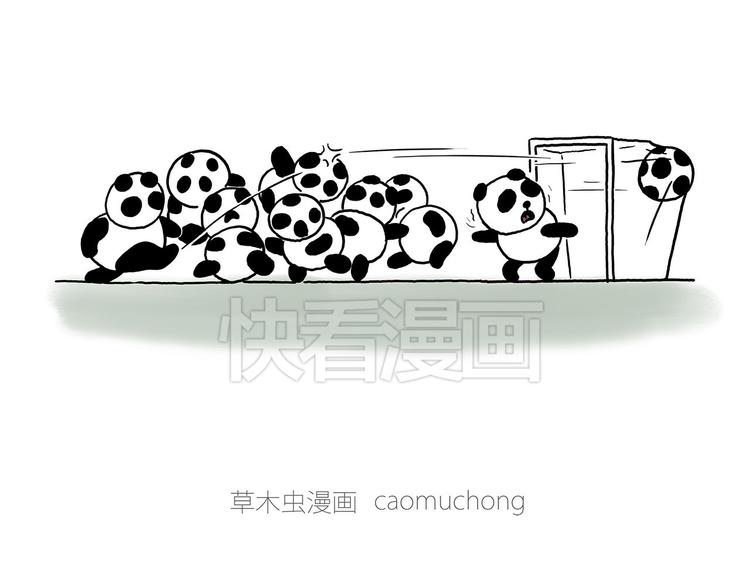 熊猫踢球10