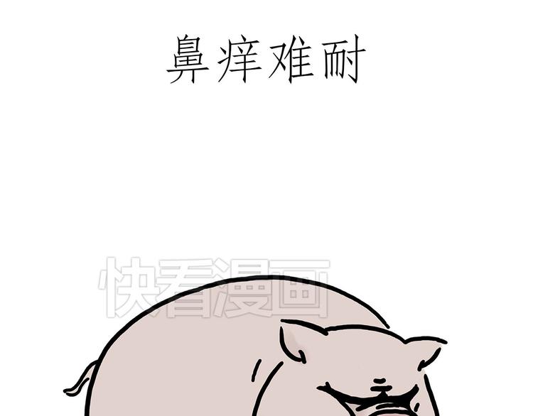 熊猫踢球20