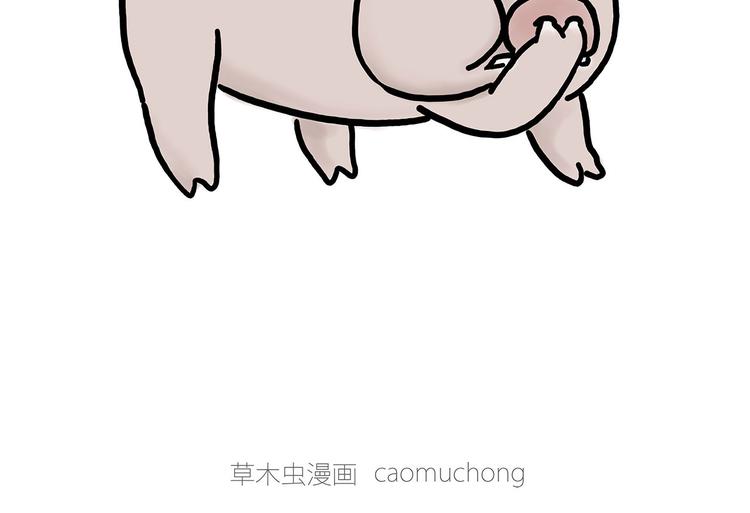 熊猫踢球21