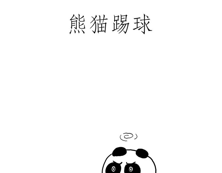 熊猫踢球5